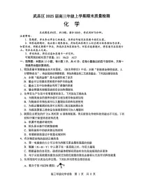 湖北省武汉市武昌区2025届高三上学期期末质量检测-化学试卷+答案