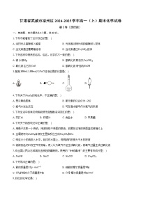 甘肃省武威市凉州区2024-2025学年高一（上）期末化学试卷