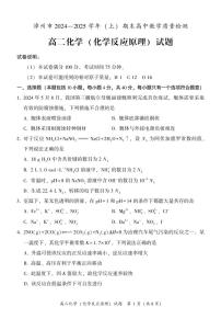 福建漳州2024-2025学年高二上学期期末考试化学试题+答案