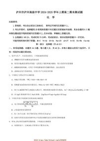 2024～2025学年四川省泸州高级中学高二上1月期末考试化学试卷(含答案)