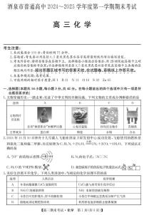 甘肃省酒泉市2024-2025学年高三上学期期末考试化学试卷