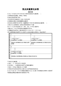 2025届高考一轮复习专项练习 化学规范练7　铁及其重要化合物 Word版含解析