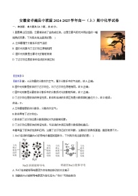 安徽省卓越县中联盟2024-2025学年高一（上）期中化学试卷