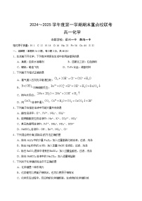 天津市五区县重点校2024-2025学年高一上学期1月期末联考试题 化学 Word版含答案