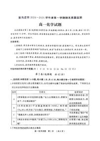 河南省驻马店市2024-2025学年高一上学期1月期末考试 化学试题
