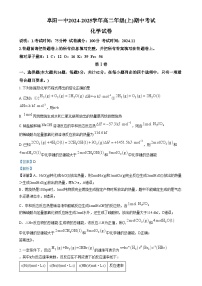 安徽省阜阳市第一中学2024-2025学年高二上学期期中考试化学试题（Word版附解析）