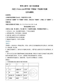 安徽省合肥八中2024-2025学年高一上学期期中化学试题（Word版附解析）