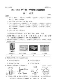 深圳罗湖2024-2025学年高二上学期期末考试化学试题+答案