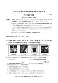 深圳南山2024-2025学年高二上学期期末考试化学试题+答案