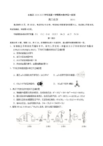 2024-2025学年北京东城区高三上学期期末化学试题及答案