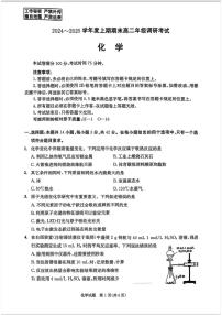 四川省成都市2024-2025学年高二上学期期末考试化学试题( PDF版,含答案）