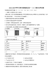 2024-2025学年天津市滨海新区高一（上）期末化学试卷（含答案）