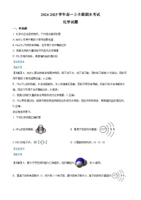 四川省眉山市仁寿县第一中学2024-2025学年高一上学期1月期末化学试卷（Word版附解析）