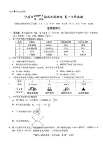 浙江省宁波市九校2024-2025学年高一上学期期末联考化学试卷（图片版，含答案）