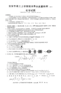 江西省吉安市2025届高三上学期1月期末教学质量检测-化学试卷+答案