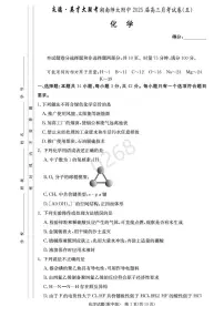 湖南省长沙市湖南师范大学附属中学2024-2025学年高三上学期第五次月考化学试卷+答案