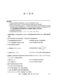 九师联盟2025届高三上学期1月期末质量检测化学试题（PDF版附答案）