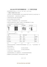 2024～2025学年天津市滨海新区高一上期末化学试卷(含答案)