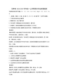 甘肃省2024-2025学年高一上学期期末学业质量监测化学试卷（解析版）