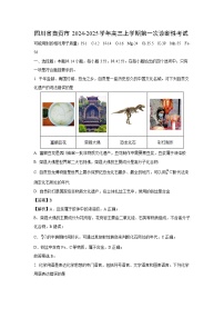 四川省自贡市2024-2025学年高三上学期第一次诊断性考试化学试题（解析版）