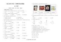 甘肃省武威市凉州区2024-2025学年高一上学期期中质量检测化学试卷