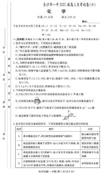 湖南长沙一中2025届高三下学期月考（六)化学试题+答案