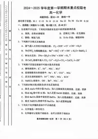 天津市重点校联考2024-2025学年高一上学期 期末考试 化学试题