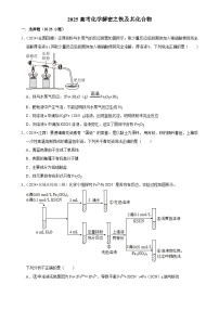 2025高考化学解密之考点篇试题 铁及其化合物（Word版附解析）