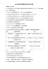 2025高考化学解密之考点篇试题 钠及其化合物（Word版附解析）