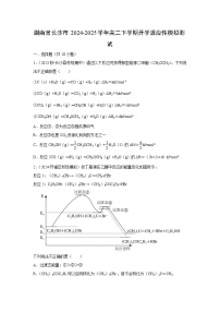 湖南省长沙市2024-2025学年高二下学期开学适应性模拟测试化学试题