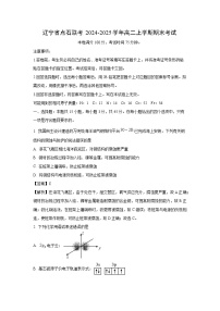辽宁省点石联考2024-2025学年高二上学期期末考试化学试题（解析版）