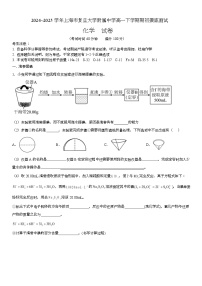 上海市复旦大学附属中学2024-2025学年高一下学期开学摸底测试化学试题