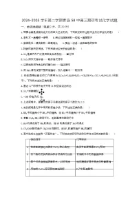 山东省青岛市第五十八中学2024-2025学年高三下学期期初考试化学试题