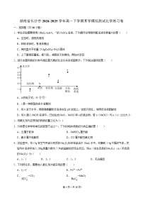 湖南省长沙市2024-2025学年高一下学期开学适应性模拟测试化学练习卷试卷（Word版附解析）