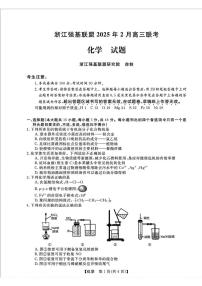 浙江省强基联盟2024-2025学年高三下学期2月联考化学试卷（PDF版附答案）