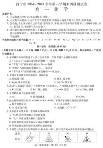 青海省西宁市2024-2025学年高一上学期期末调研测试化学试卷