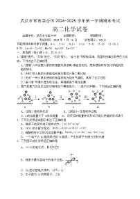 湖北省武汉市常青联合体2024-2025学年高二上学期期末考试化学试卷（Word版附解析）