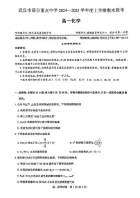 湖北省武汉市部分重点中学2024-2025学年高一上学期期末联考化学试卷（PDF版附答案）