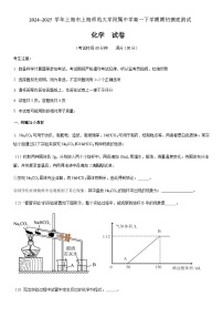 上海市上海师范大学附属中学2024-2025学年高一下学期开学考试化学试题（含答案）