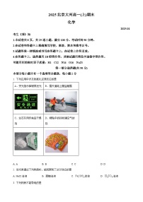 北京市大兴区2024-2025学年高一上学期期末考试化学试题（含答案）