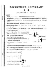 2025届四川省高三下学期高考模拟第一次教学质量联合测评-化学试题+答案