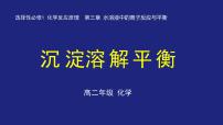 人教版 (2019)选择性必修1第四节 沉淀溶解平衡授课ppt课件