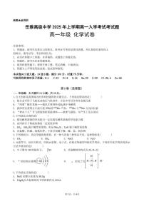 湖南省岳阳市岳阳县岳雅学校2024-2025学年高一下学期开学化学试题