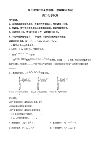 上海市宜川中学2024-2025学年高二上学期期末考试化学试卷（含答案）