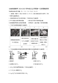 云南省曲靖市2024-2025学年高三上学期第一次质量检测化学试卷
