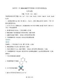 湖南省长沙市第一中学2024-2025学年高三上学期阶段性检测（五）化学试卷（Word版附解析）