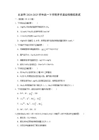 北京市2024-2025学年高一(下)开学适应性模拟测试化学试卷（解析版）