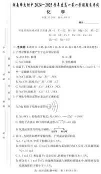 湖南师大附中2024-2025学年高一上学期期末考试化学试题（含答案）