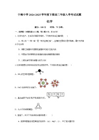 四川省凉山州宁南中学2024-2025学年高二下学期入学考试化学试题（含答案）