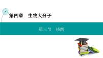 高中化学第三节 核酸背景图课件ppt